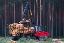 Wykonywanie usług z zakresu gospodarki leśnej II przetarg