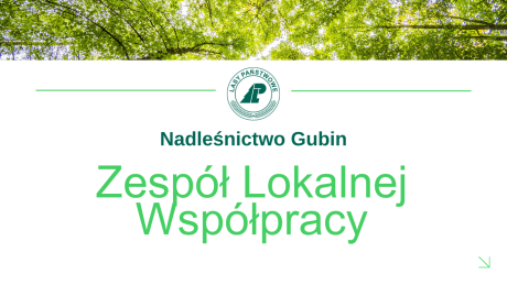 Spotkanie Zespołu Lokalnej Współpracy