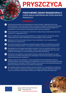 Pryszczyca - Materiał informacyjny