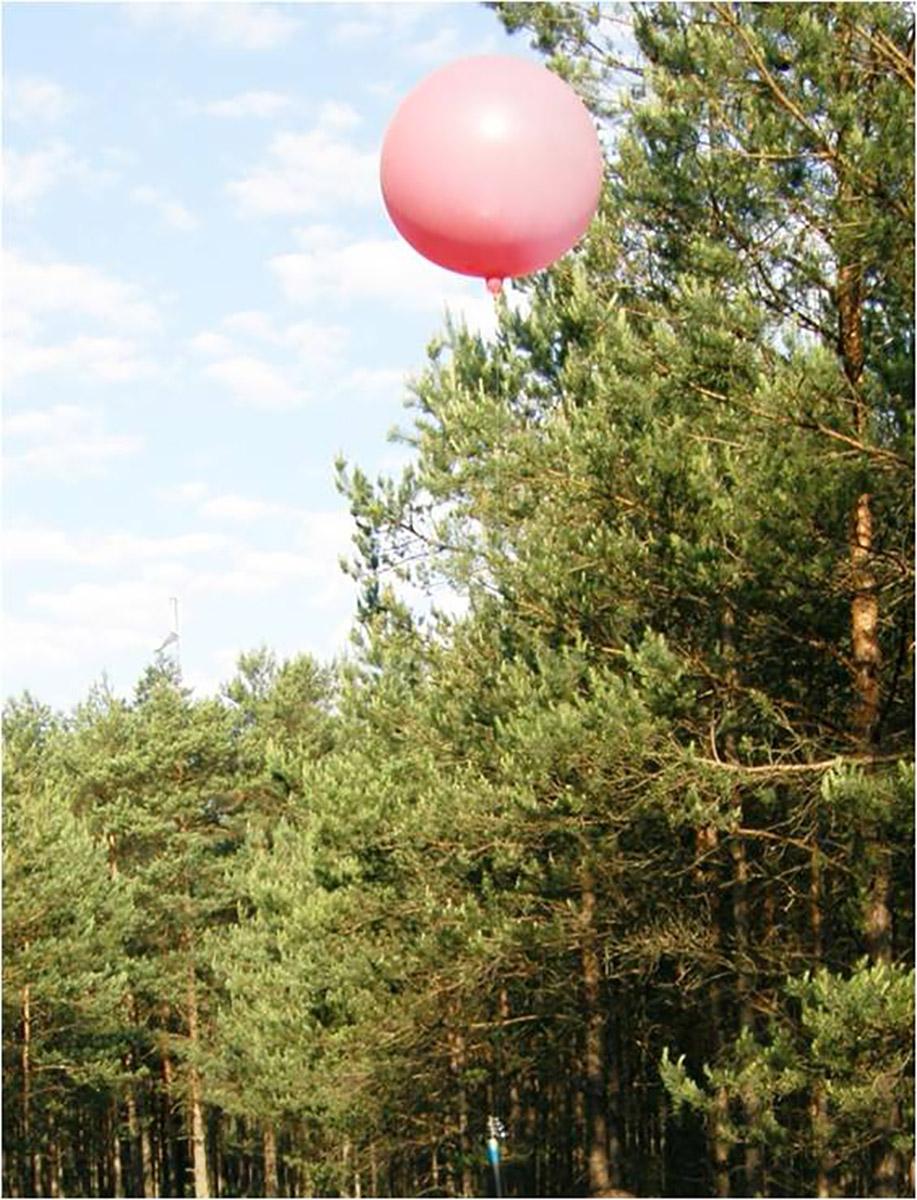 Balonik na tle drzew