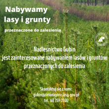 Jesteś posiadaczem lasu? Ta wiadomość może Cię zainteresować! Zakup gruntów przez Nadleśnictwo Gubin